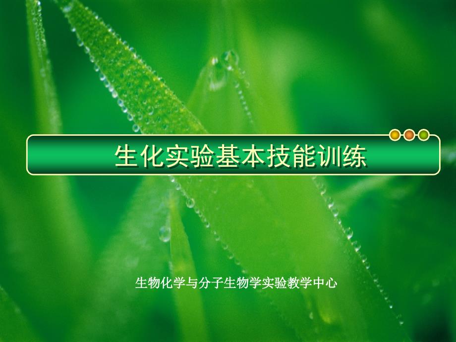 生化实验基本操作 生化实验基本技能训练_第2页