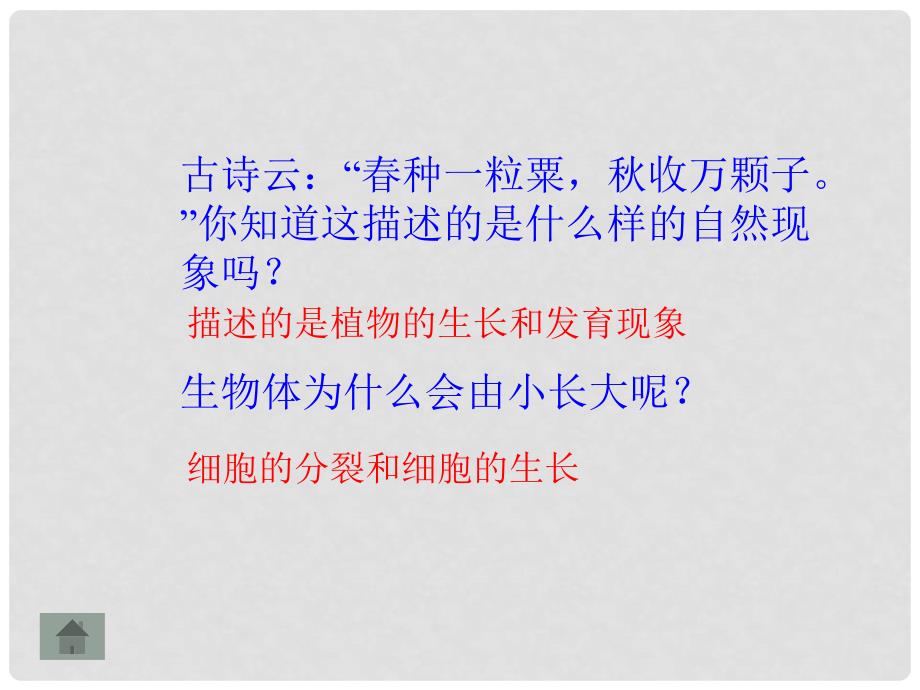 甘肃省民勤县第五中学七年级生物上册《细胞通过分裂产生新细胞》课件 新人教版_第3页