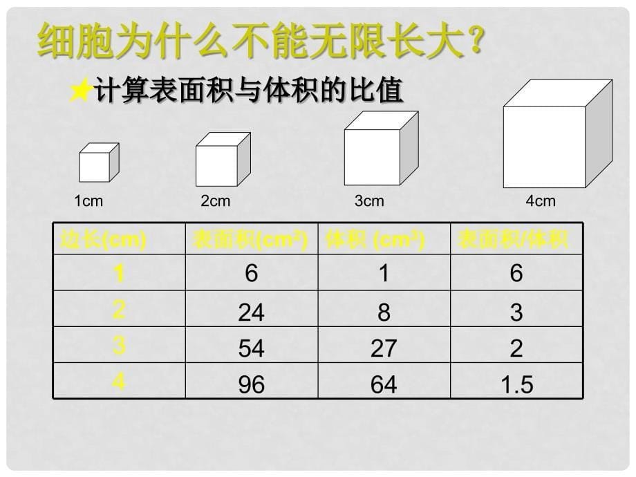 甘肃省民勤县第五中学七年级生物上册《细胞通过分裂产生新细胞》课件 新人教版_第5页