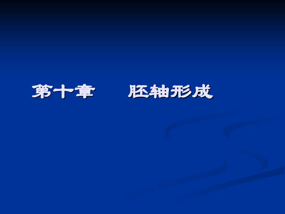 胚轴形成PPT课件_第1页
