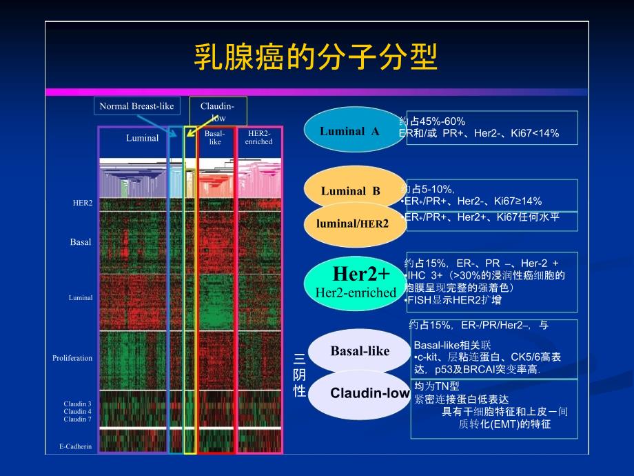 TNBC三阴乳癌_第4页