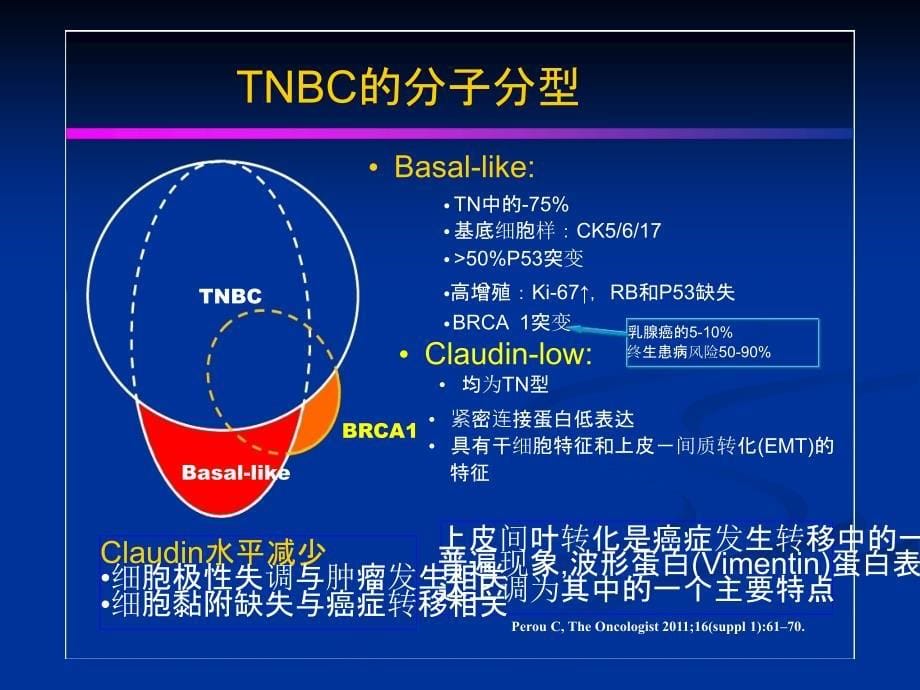 TNBC三阴乳癌_第5页