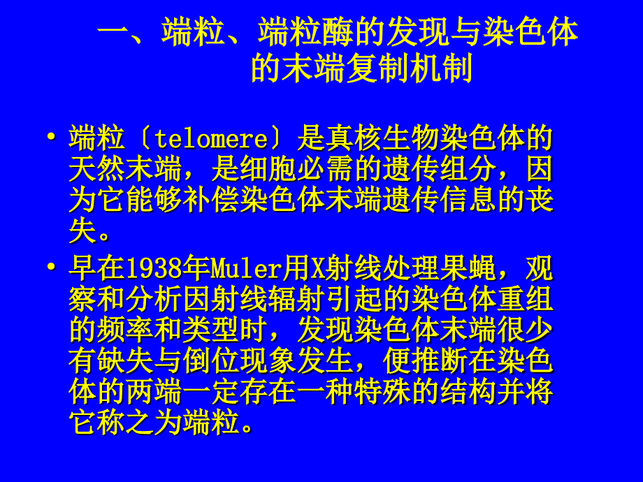 分子肿瘤学6端粒端粒酶与肿瘤_第4页