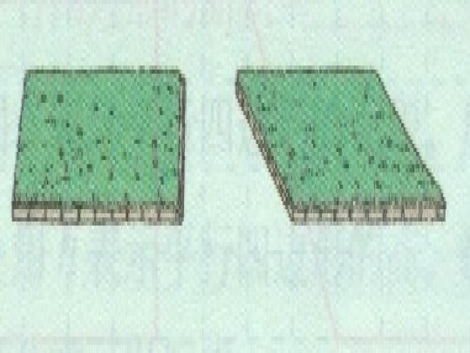 平行四边形面积 (4)_第2页