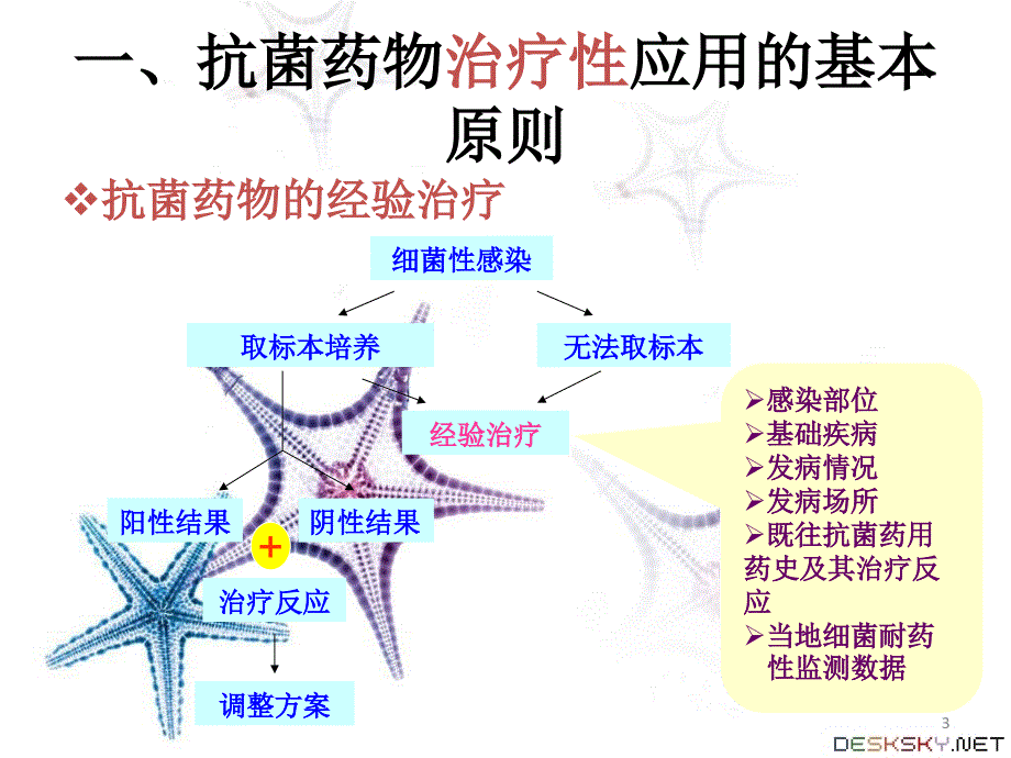 抗菌药物临床应用指导原则(2015版)PPT幻灯片.ppt_第3页