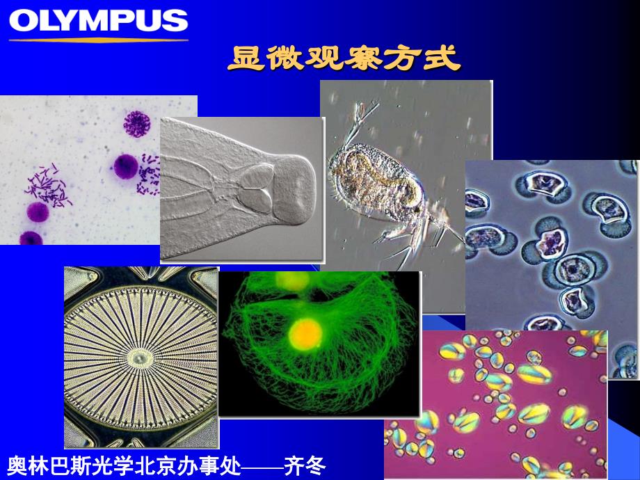 七种观察方式PPT课件_第1页