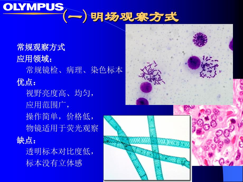 七种观察方式PPT课件_第3页