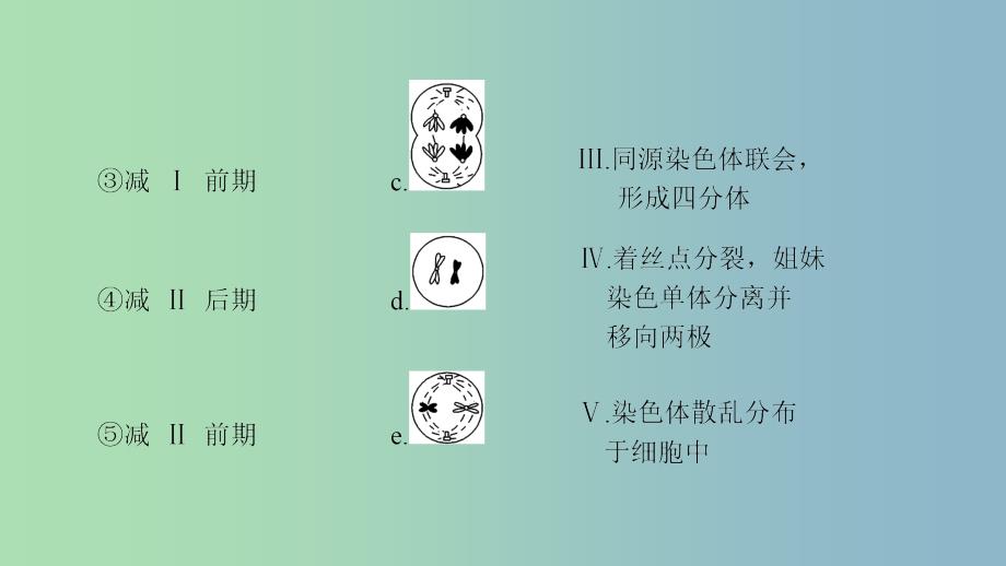 高三生物一轮复习第4单元减数分裂和受精作用课件新人教版.ppt_第4页