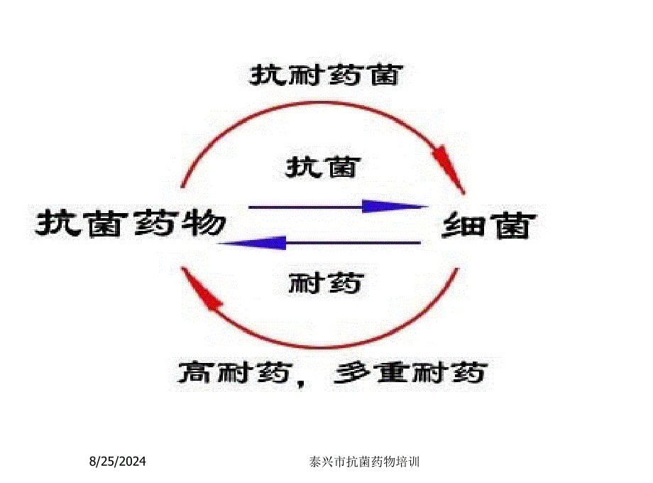 抗菌药物分类特点及应用ppt课件_第4页