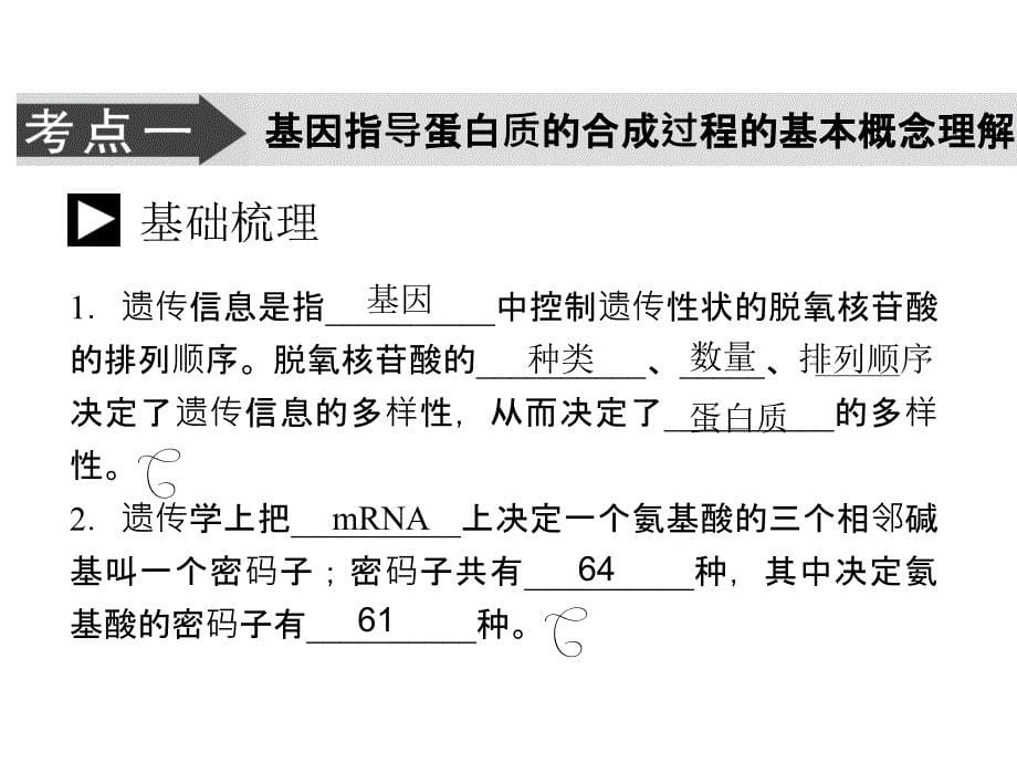 人教版教学课件生物高考一轮复习课件：必修2 第4章 第1节 基因指导蛋白质的合成ppt_第5页