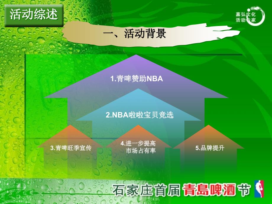 石家庄青岛啤酒节策划方案61p_第4页