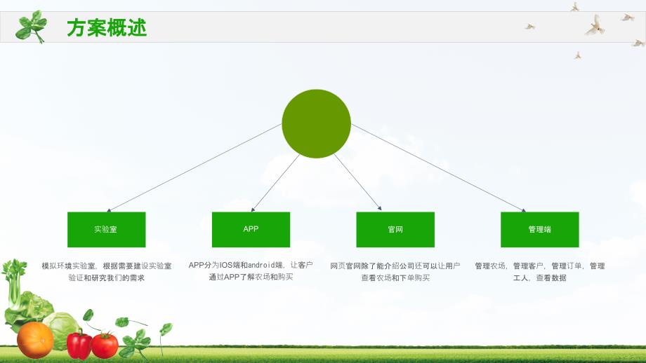 百姓视角绿色有机农业主题PPT模板_第4页