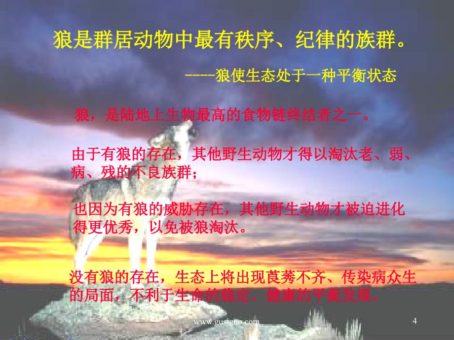 如何打造一支狼性团队(演讲稿)PPT幻灯片.ppt_第4页