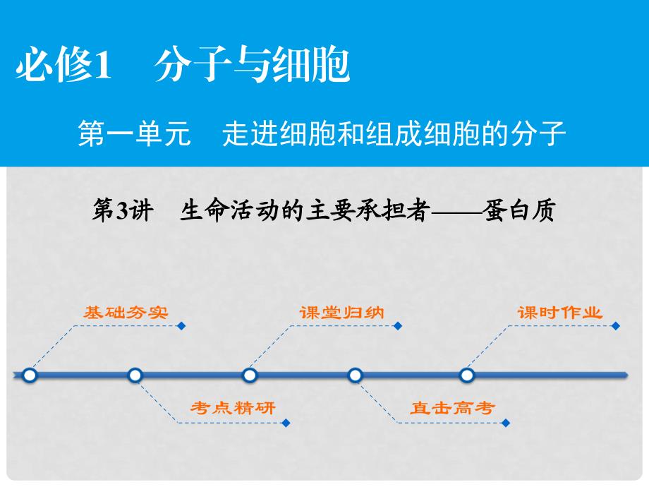 高考生物大一轮复习 第1单元 走进细胞和组成细胞的分子 第3讲 生命活动的主要承担者蛋白质课件（必修1）_第1页