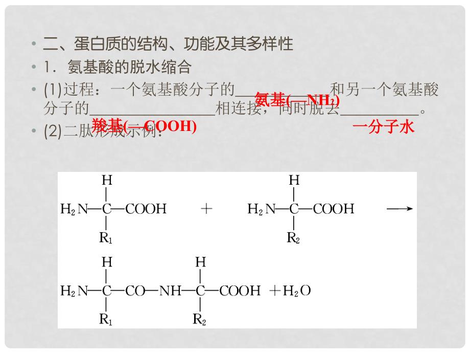 高考生物大一轮复习 第1单元 走进细胞和组成细胞的分子 第3讲 生命活动的主要承担者蛋白质课件（必修1）_第4页