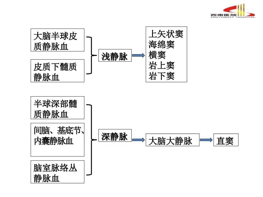 详解脑静脉系统解剖与血栓形成ppt课件_第5页