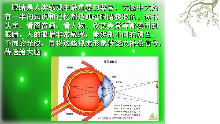 眼睛成像及屈光不正_第3页