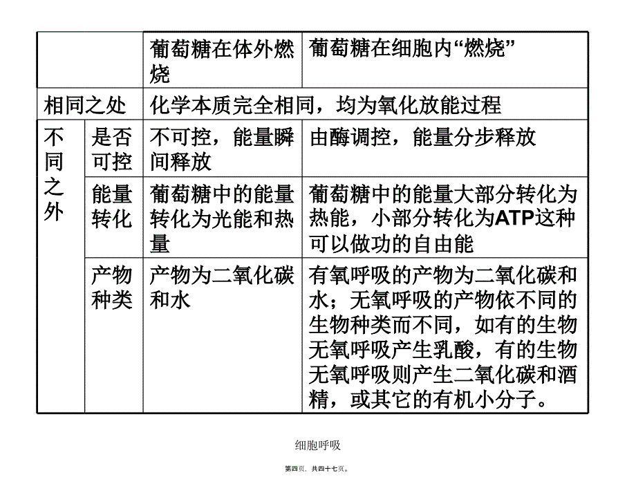 细胞呼吸课件_第4页