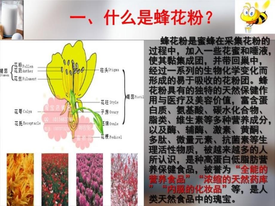 最完美的营养保健食品蜂花粉课件_第3页