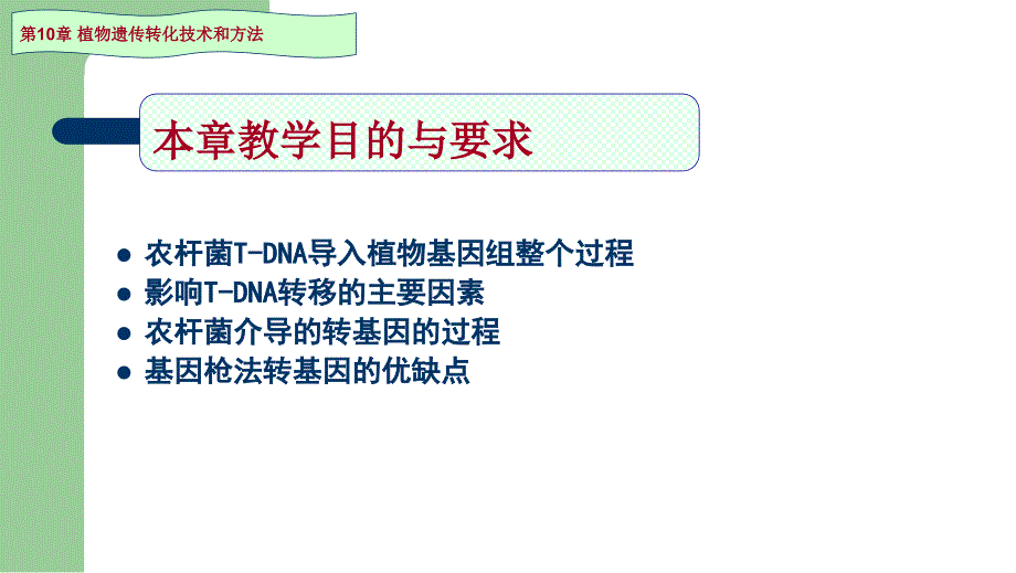 植物生物技术：第十章植物遗传转化技术和方法_第3页