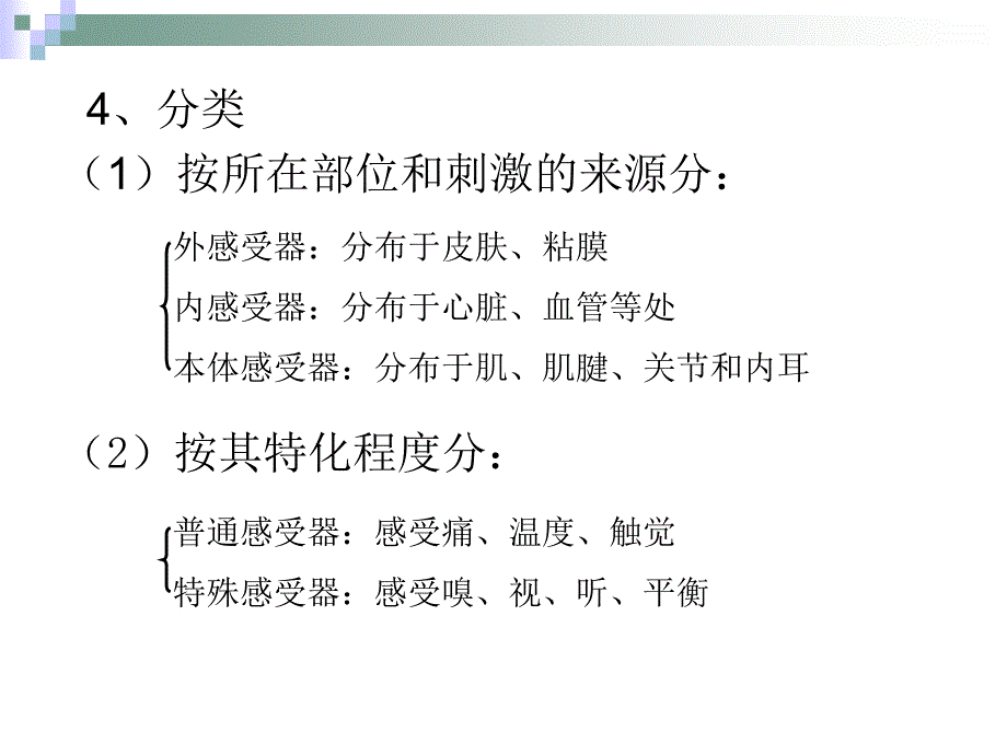 《感觉器系统解剖学》PPT课件_第3页