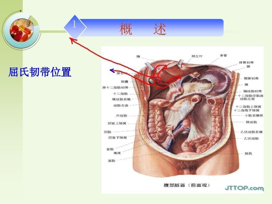 第八节上消化道出血的护理 ppt课件_第5页