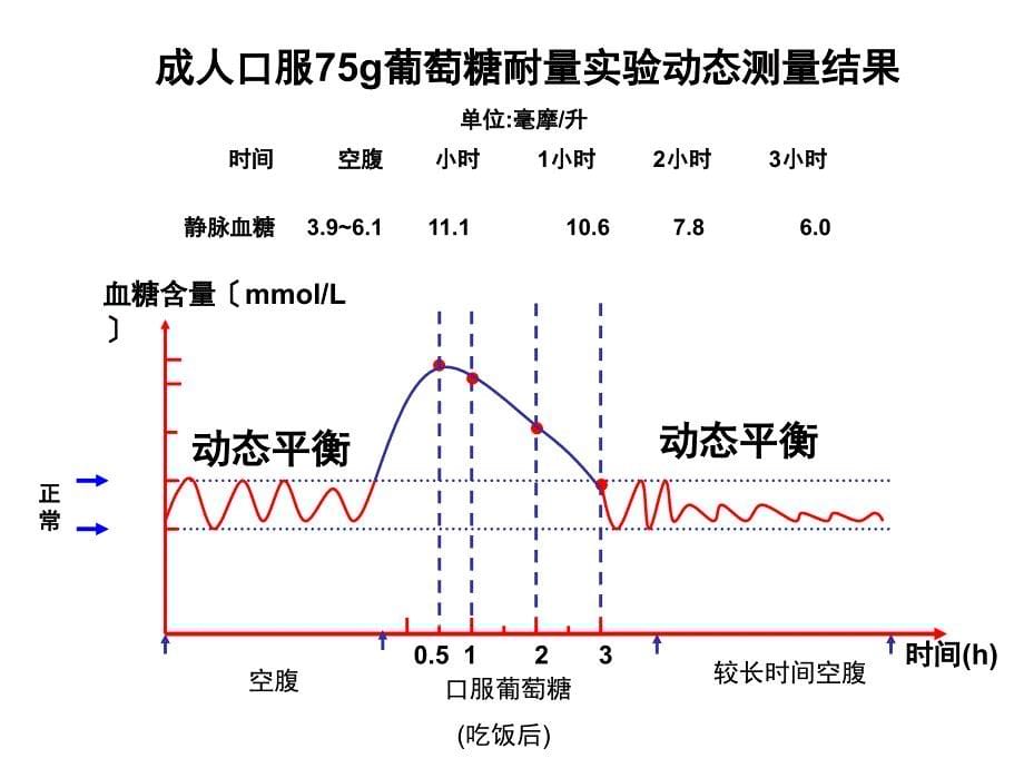 血糖平衡调节上课用[1]_第5页