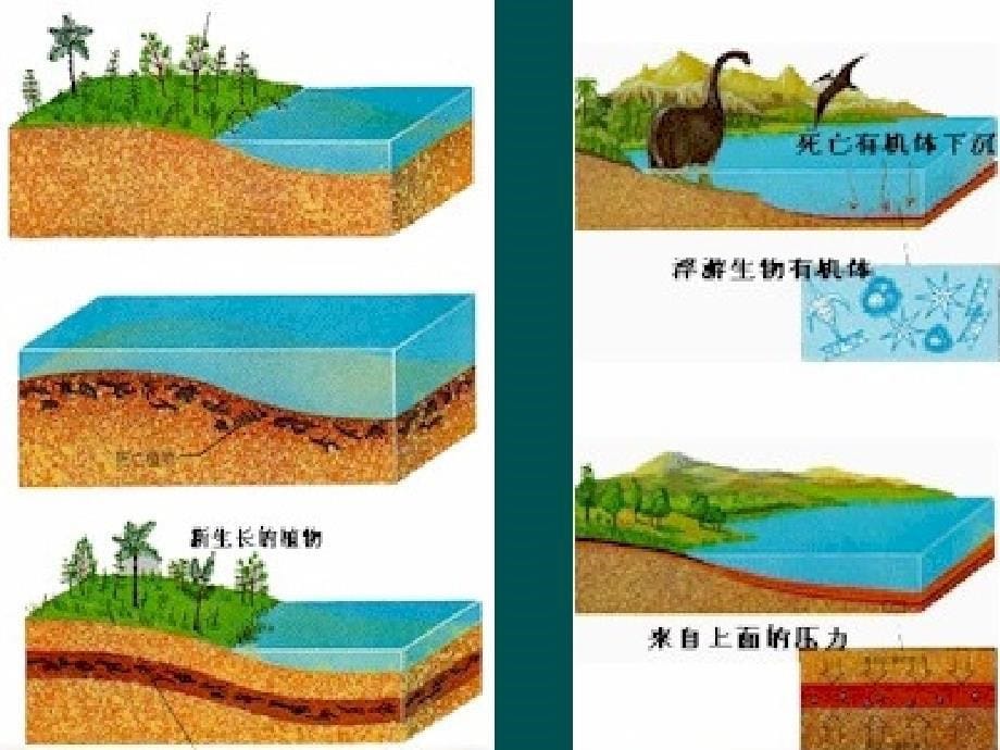 太阳、月球与地球的关系.ppt_第5页