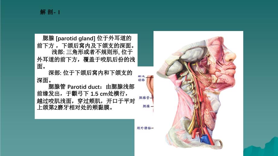 腮腺肿瘤切除术干货分享_第3页