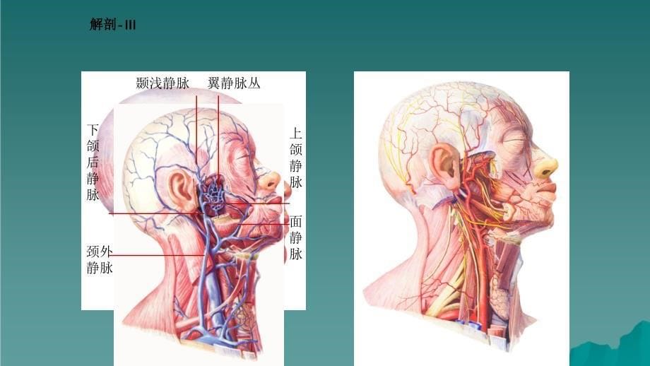 腮腺肿瘤切除术干货分享_第5页