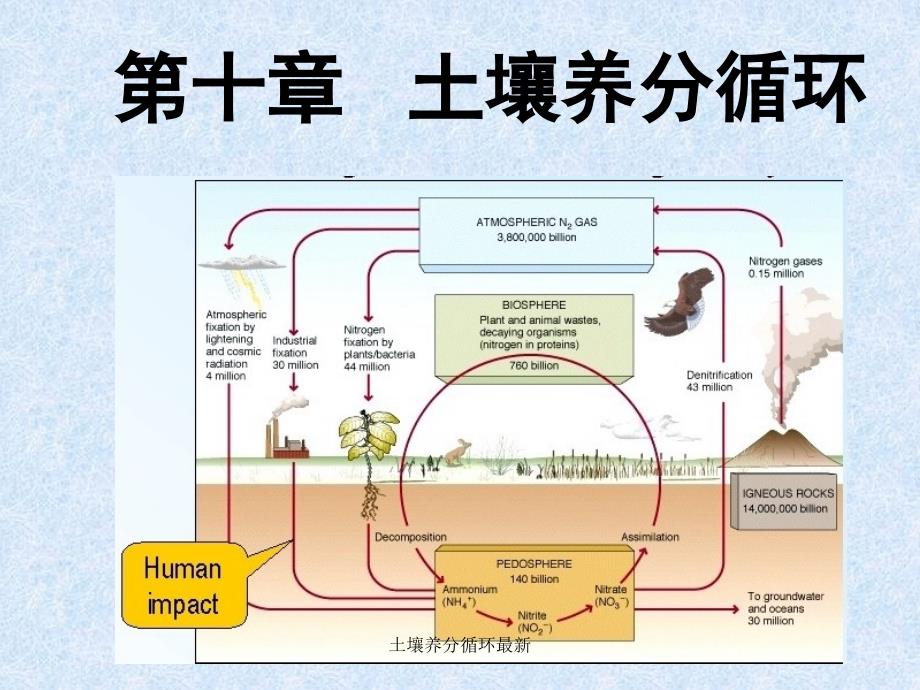 土壤养分循环最新课件_第1页