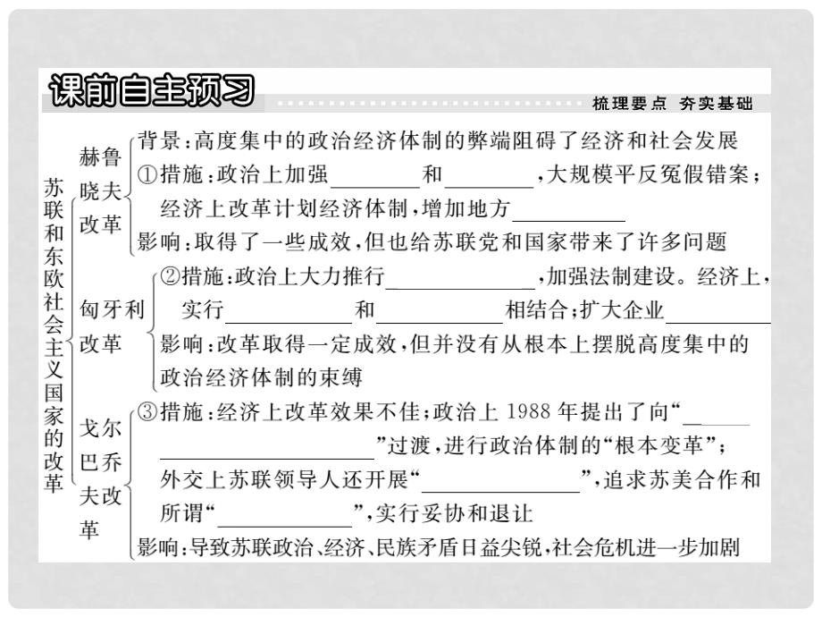 九年级历史下册 第12课 苏联和东欧社会主义国家的改革课件 岳麓版_第2页