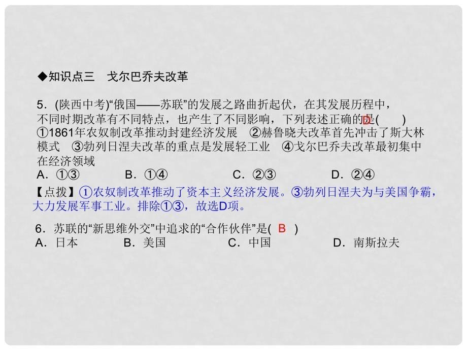 九年级历史下册 第12课 苏联和东欧社会主义国家的改革课件 岳麓版_第5页