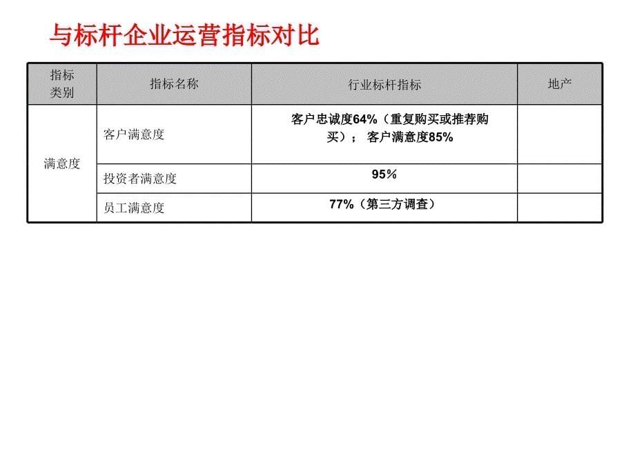 中国房地产企业综合运营能力评估指标体系_第5页