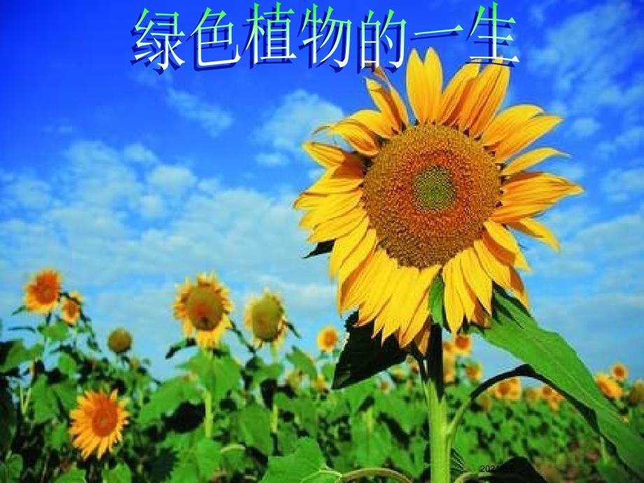 七年级生物上册植物种子的萌发课件苏教版3_第1页