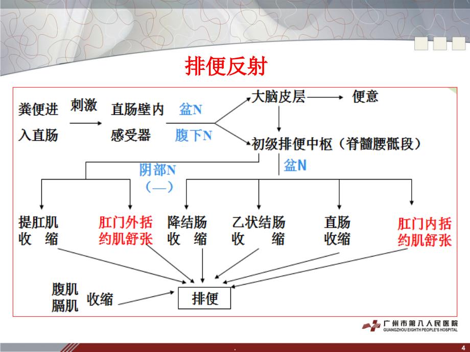 便秘的干预及护理B1537PPT精品文档_第4页