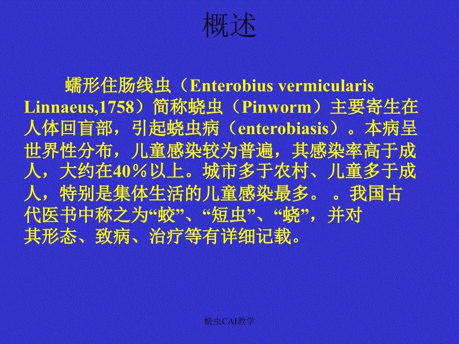 蛲虫CAI教学课件_第2页