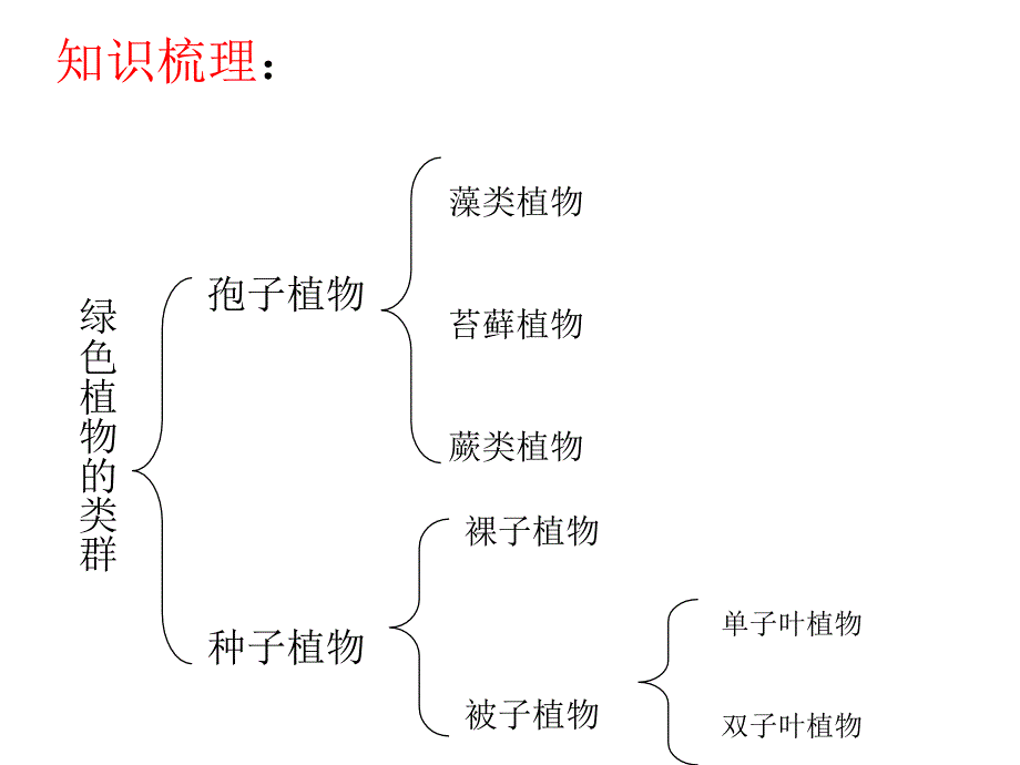 新人教版初中考生物专题复习七年级上册第三单元《生物圈中的绿色植物》_第3页