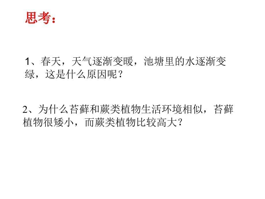 新人教版初中考生物专题复习七年级上册第三单元《生物圈中的绿色植物》_第5页