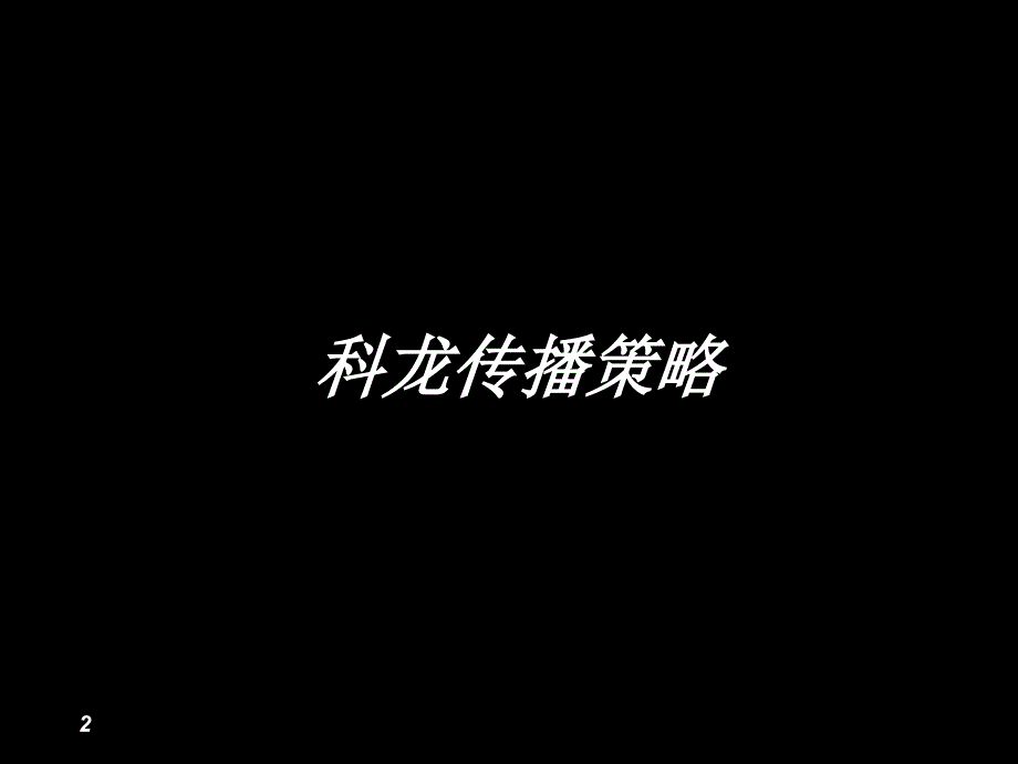 科龙传播策略_第2页