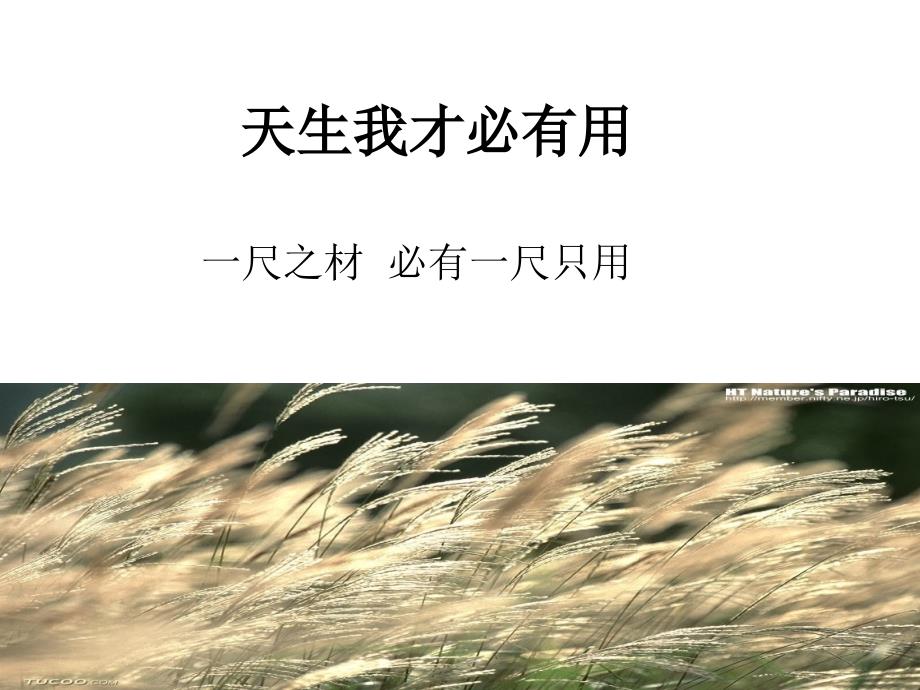 生命第一密码(九型人格资料).ppt_第3页