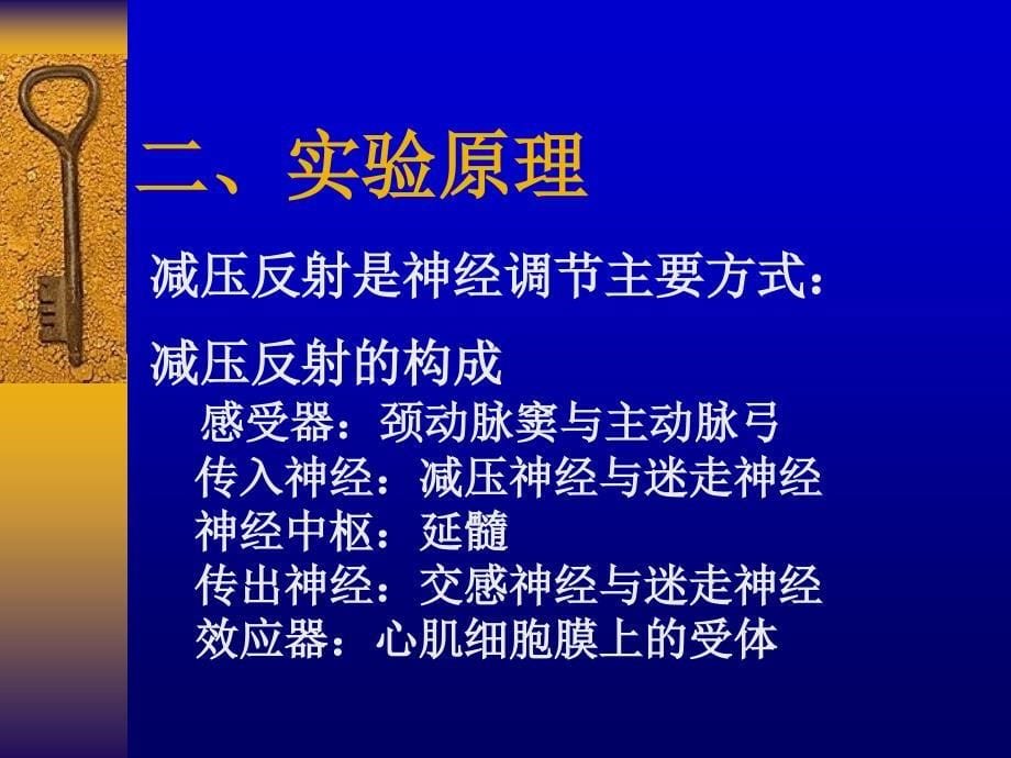 动脉血压的调节与急性失血性休克病理生理学_第5页