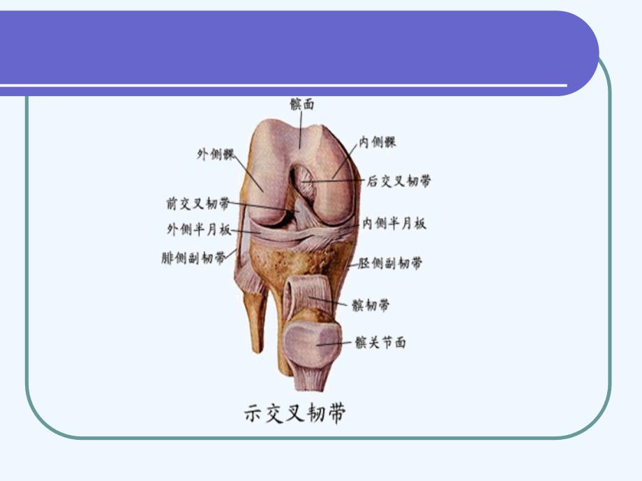 关节镜下前交叉韧带重建手术配合_第2页