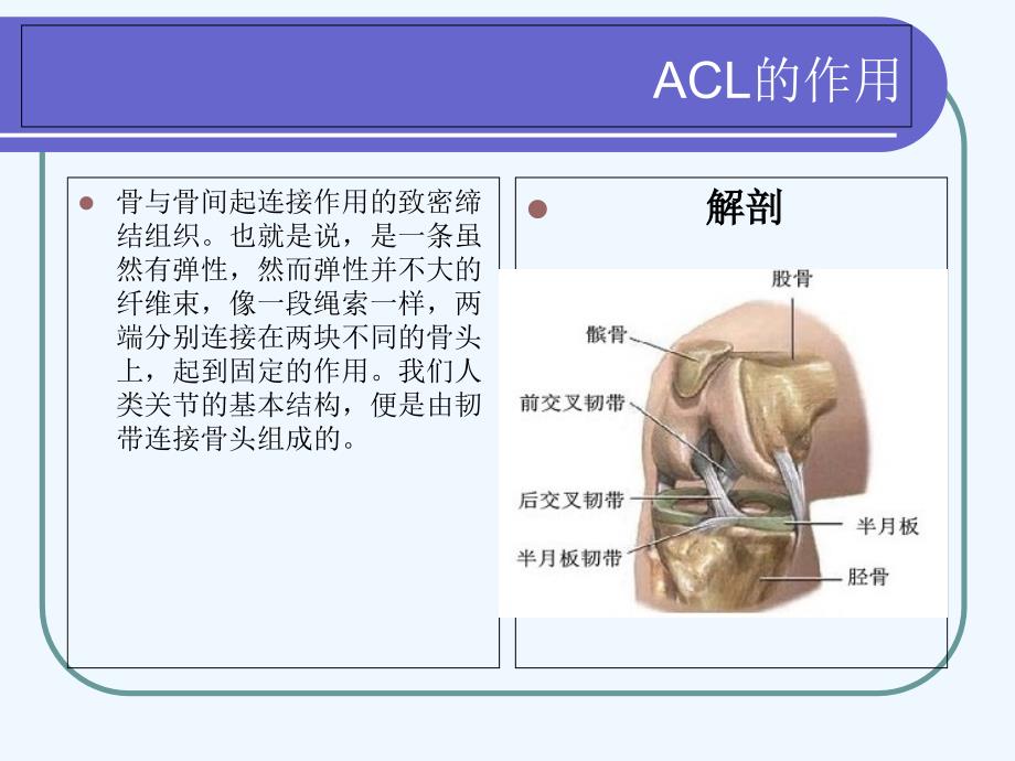 关节镜下前交叉韧带重建手术配合_第3页