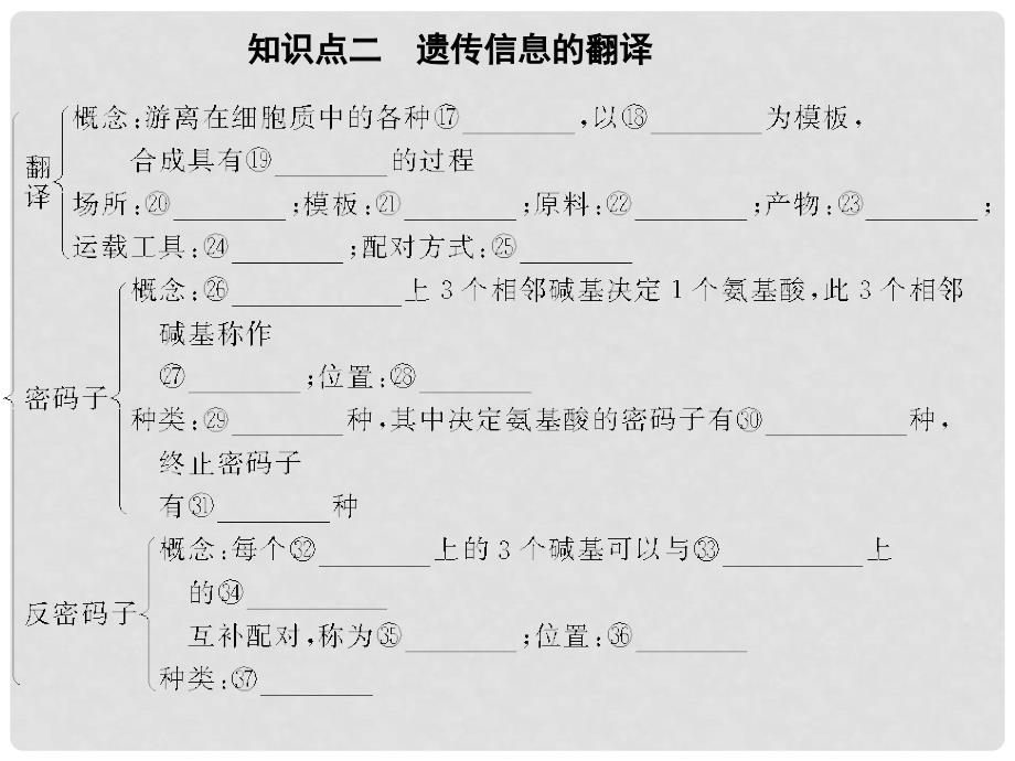 高考生物一轮复习 第3讲 基因的表达课件 新人教版_第4页