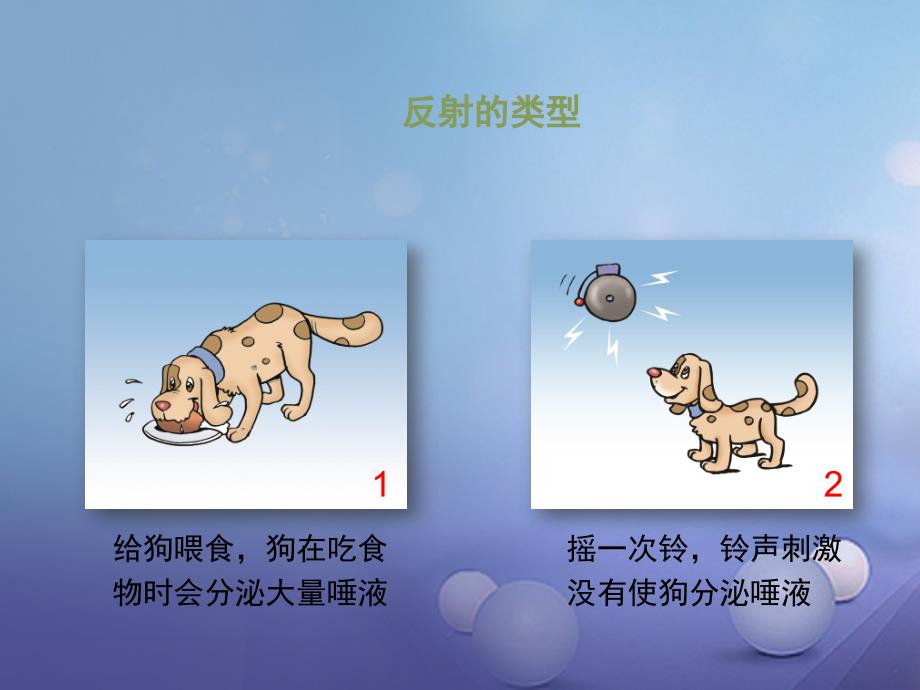 七年级生物下册12.1神经系统与神经调节第2课时课件北师大版_第4页