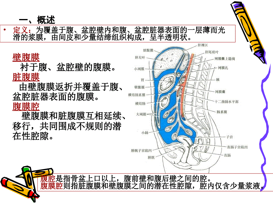 第十四章化脓性腹膜炎病人的护理_第4页