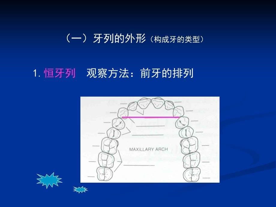 牙列牙合与颌位_第5页