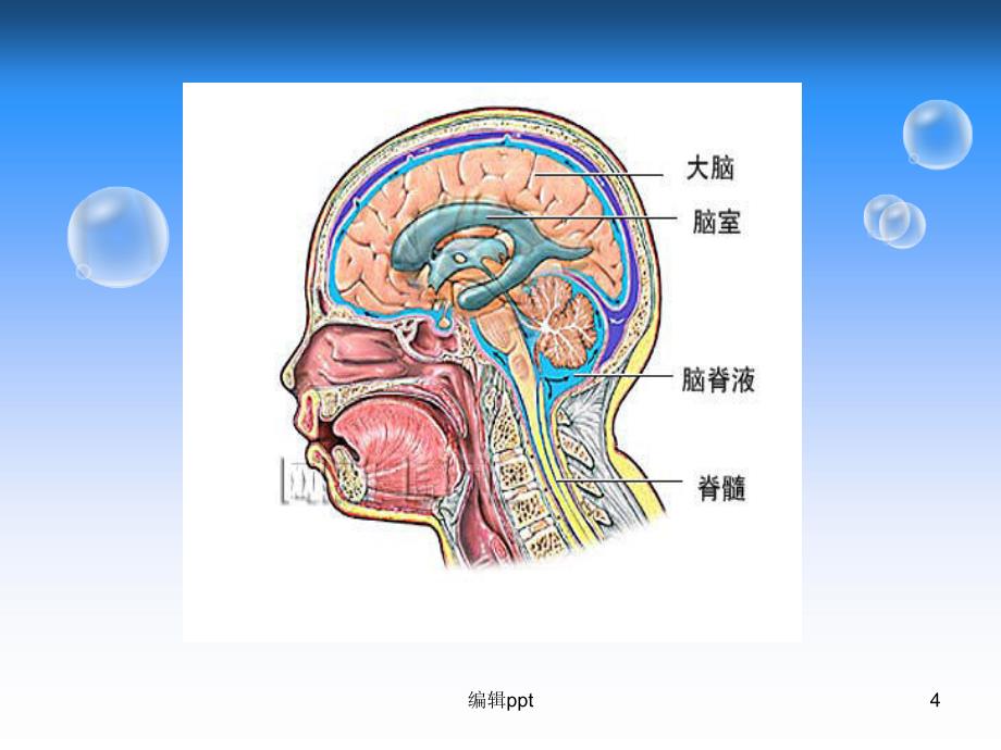 脑脊液漏的观察和护理_第4页