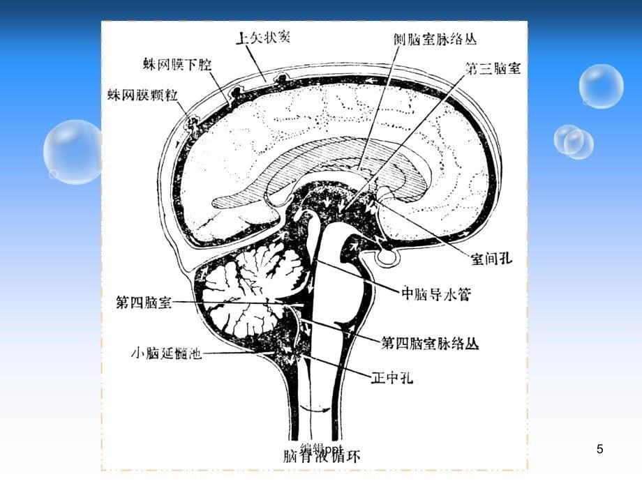 脑脊液漏的观察和护理_第5页